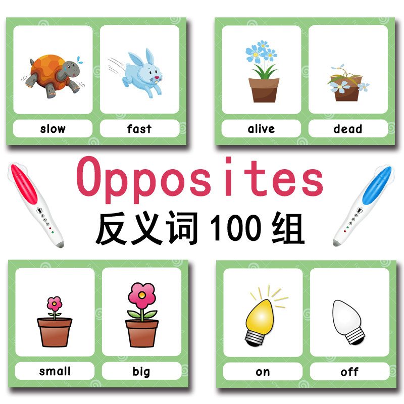 The 100 Groups Opposites Flash - Kids Education Card review and price