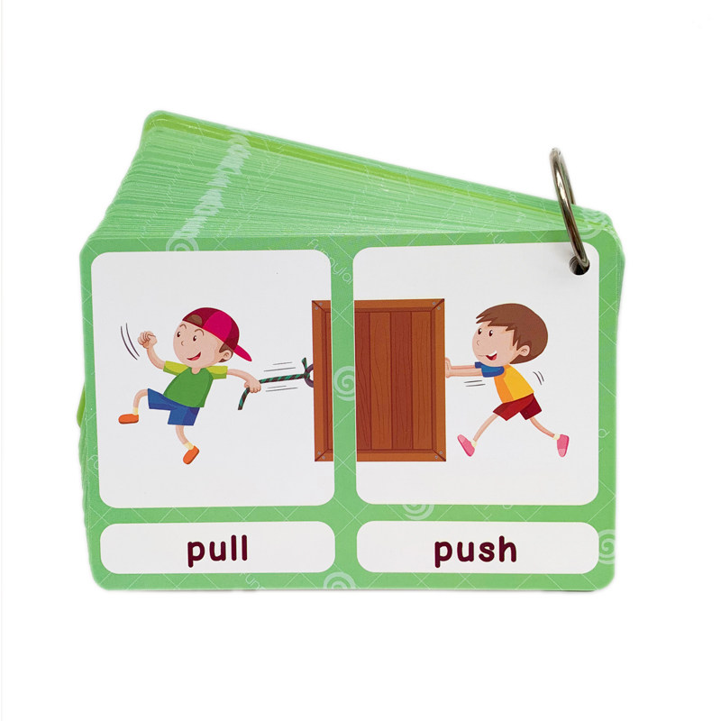 The 100 Groups Opposites Flash - Kids Education Card review and price