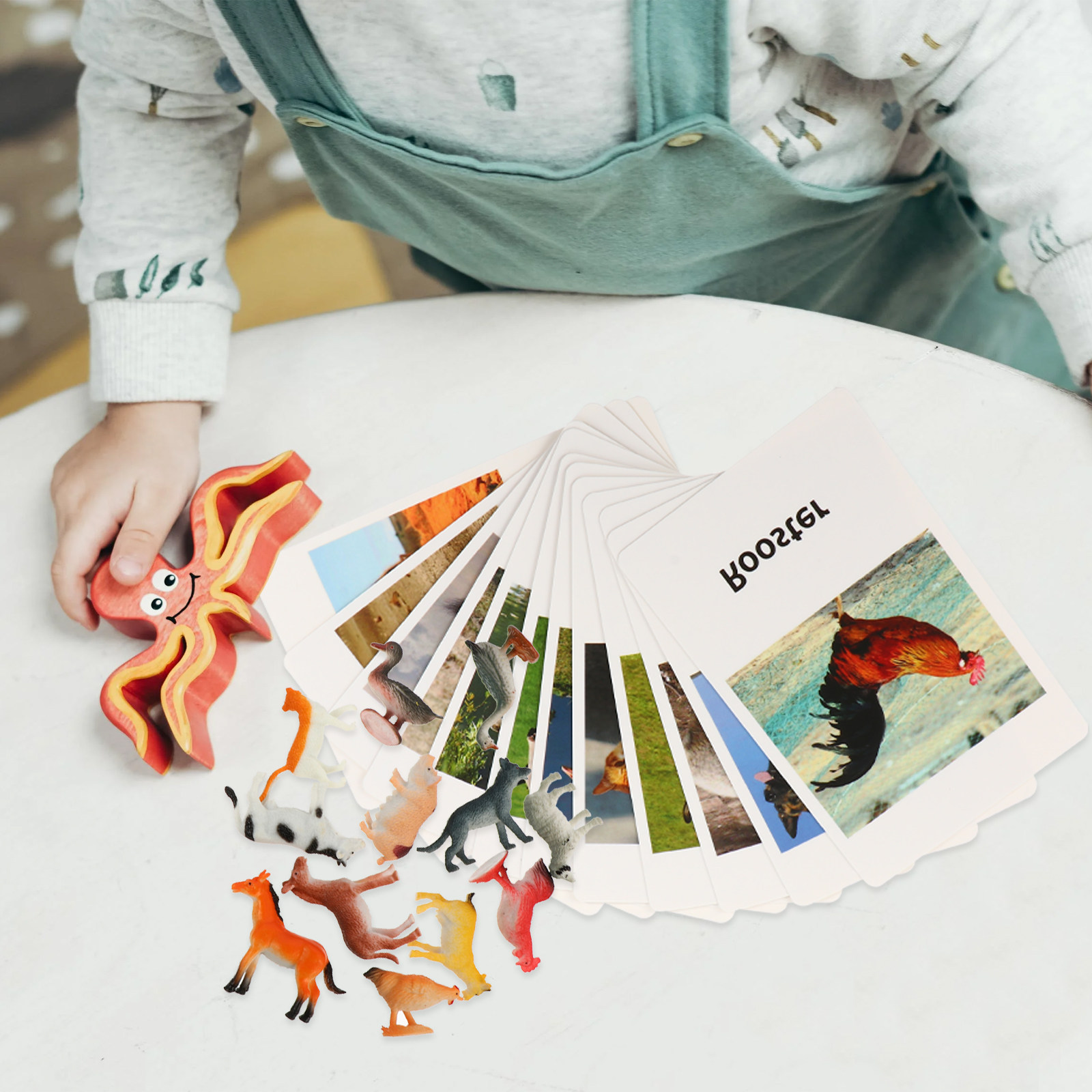 1Set Animal Cards Matching Cog - Kids Education Card review and price
